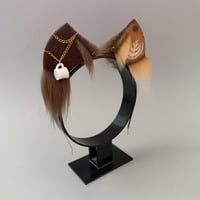 Image 3 of Latte Kitten