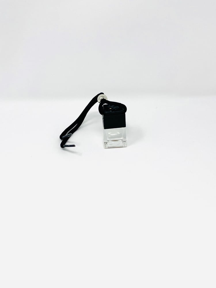 Image of Luxury Car Diffusers 