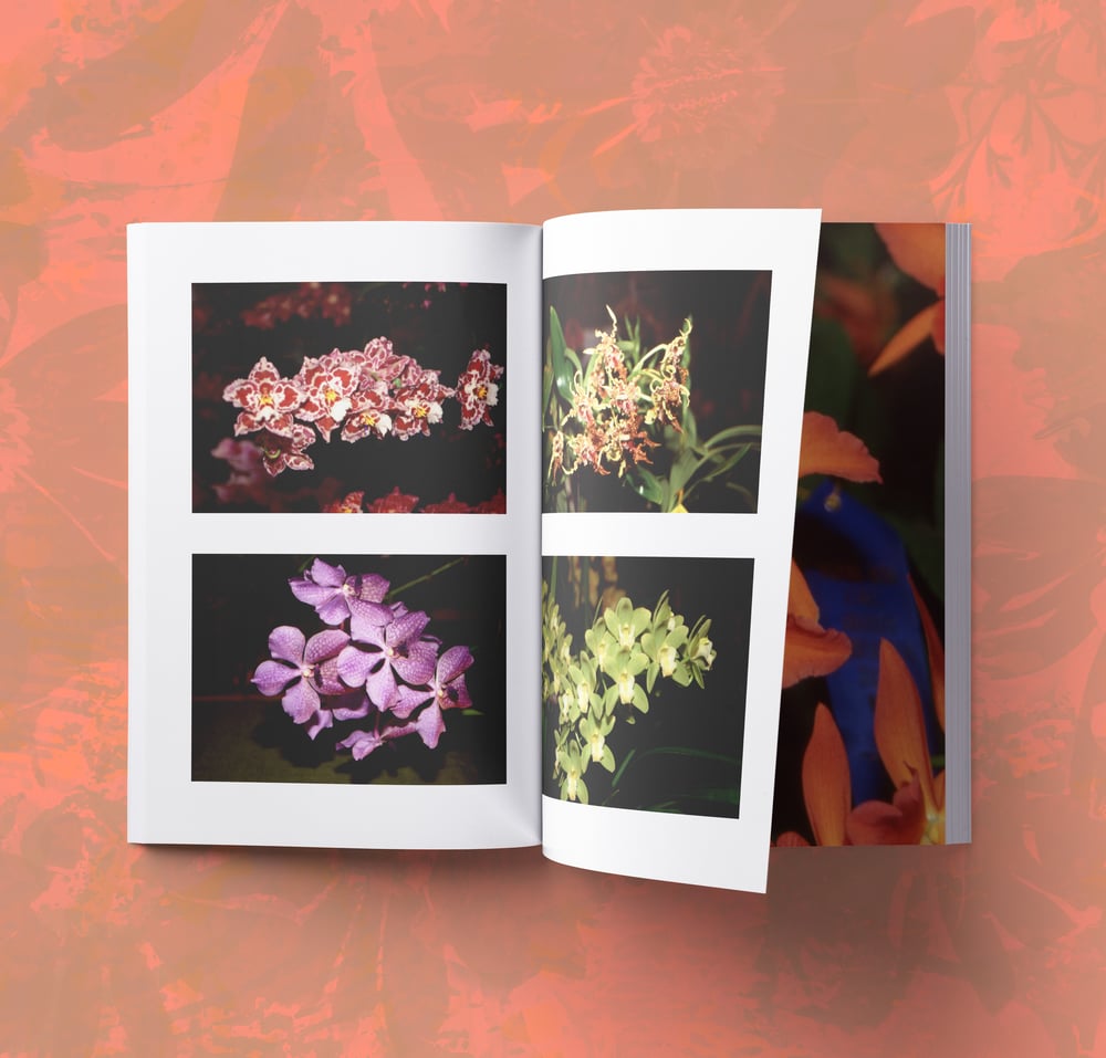 Freeloaders Redux Vol. 2: Found Flowers