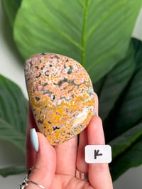 Image 11 of XL CHOOSE YOUR OWN ORBICULAR VEINLESS OCEAN JASPER PALM STONES -MADAGASCAR- 