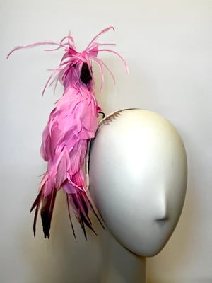 Image of Pink bird