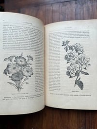 Image 12 of Le jardin d’agrément, L-J.Troncet, édition Larousse, 1908