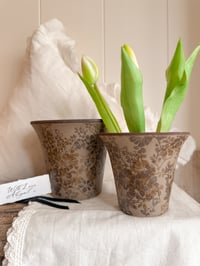 Image 1 of The Romee Collection - Pots ( Set or Singles )