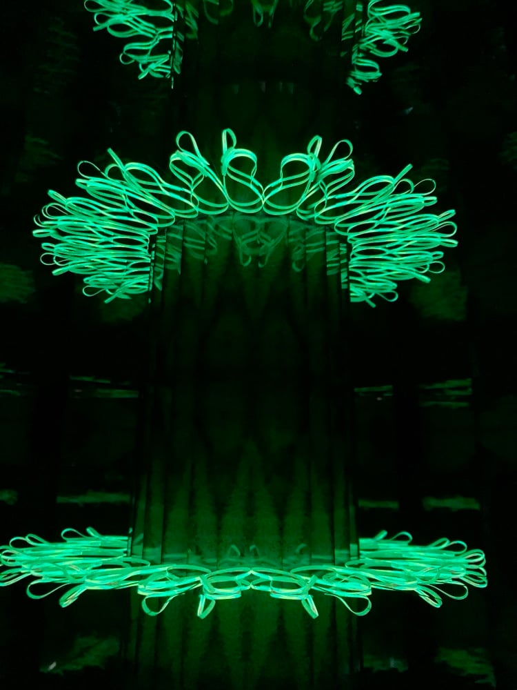 Lifting The Veil Image 8