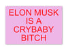 ELON MUSK IS A CRYBABY BITCH sticker