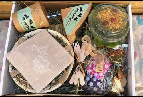 Image of Picnic box (FAKEAWAY RANGE)