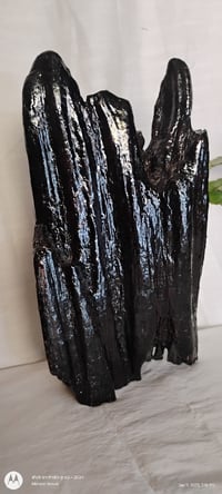 Image 4 of Obsidian Cliff