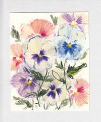 Pansies no. 8