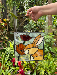 Image 1 of Poppy Bunny