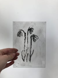 Image 5 of Snowdrops Monotype - pack of 4 A6 prints 