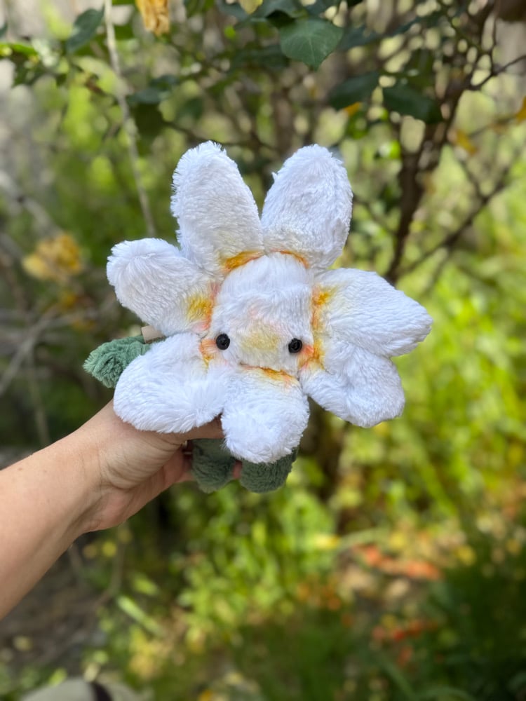 Image of plumeria