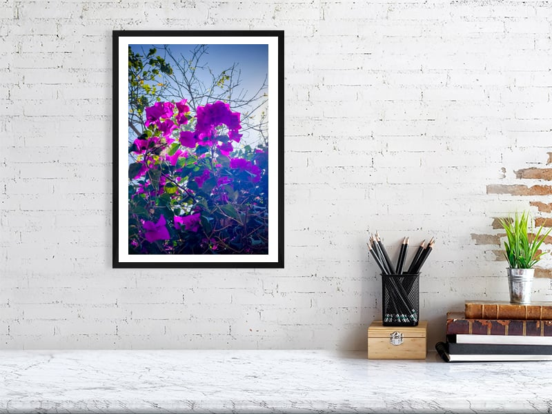 Image of Following the Quiet, Jinja