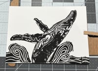 Humpback Whale splash