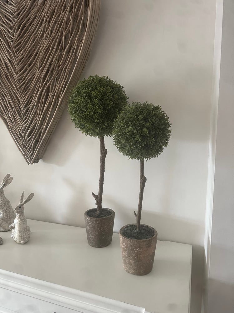 Image of SET OF TWO LARGE BOX TREES 