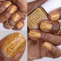 Image 10 of Tiger’s Eye Twinkle
