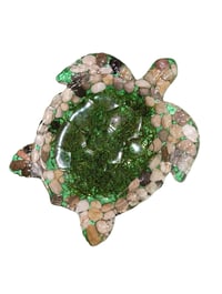 Image 1 of Turtle Tray