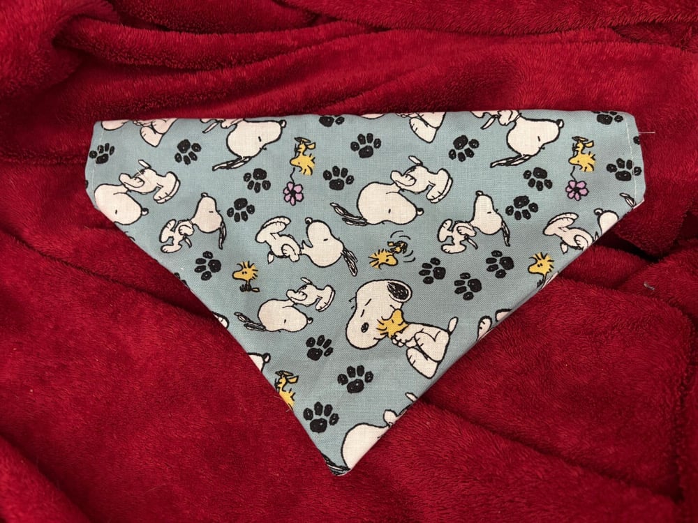 Image of Beagle and Bird Pet Collar Bandana