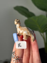 Image 18 of CHOOSE YOUR OWN MINI SOAPSTONE DINOSAURS