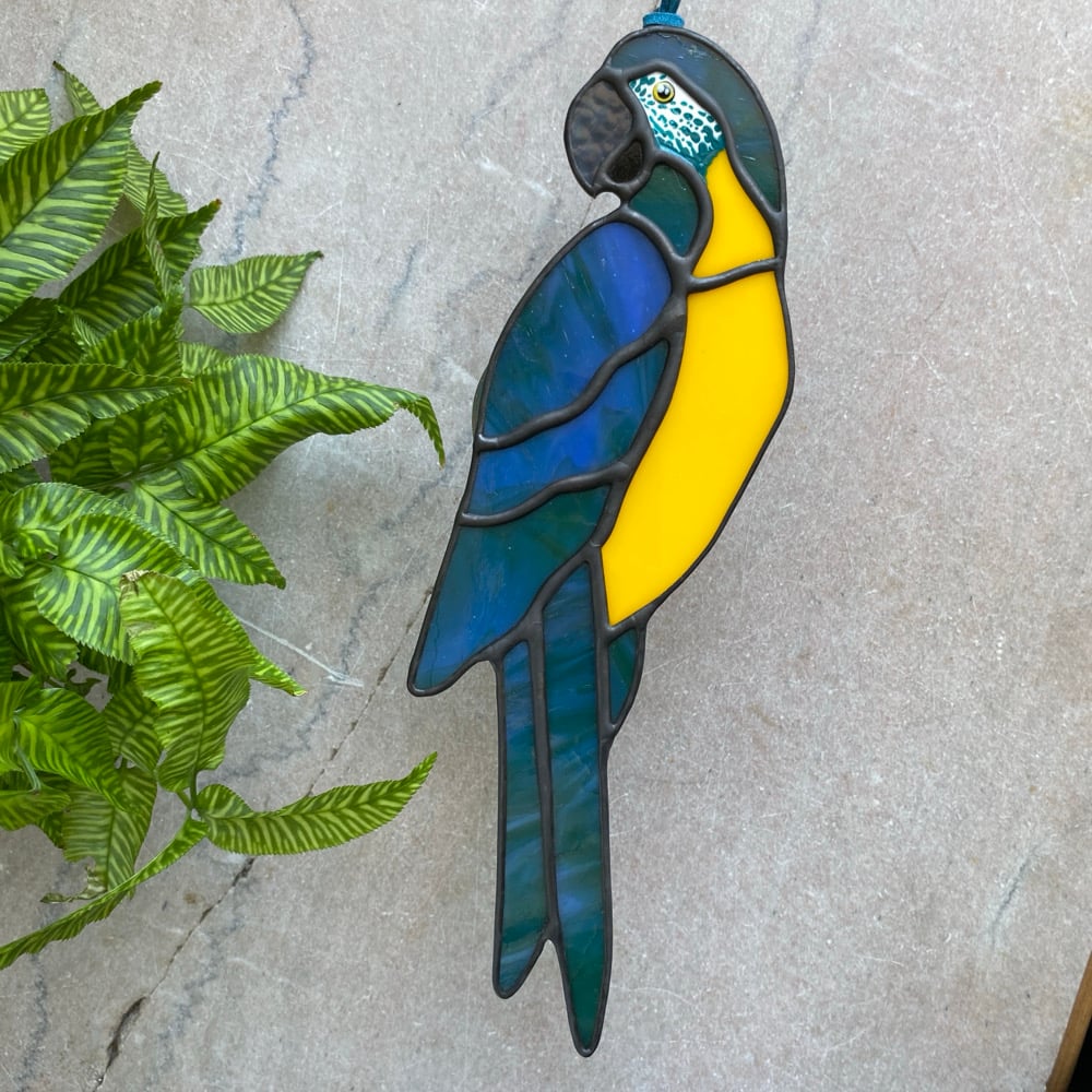 Image of Blue Throated Macaw