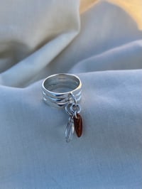 Image 1 of Charmed IV