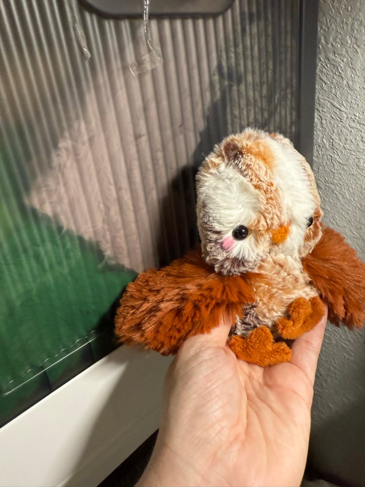 Image of burnt orange floofy chicken