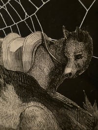 Image 7 of “Lion and The Ass" 1800's bible page with preserved spider web