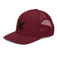Image 8 of MEN/WOMEN DIVINELY PROTECTED Trucker Cap