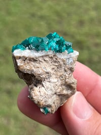 Image 8 of Dioptase Specimen | Congo #3011