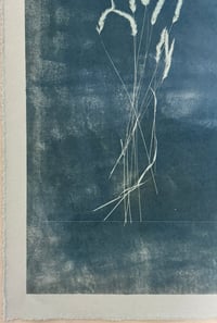Image 2 of Oat Straw