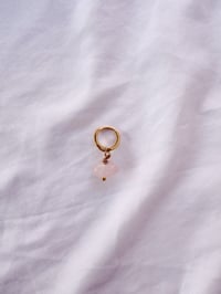 Image 1 of Créole Energie L’ÉMERVEILLEMENT