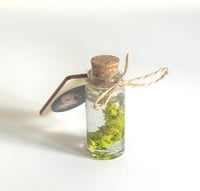 Image 1 of Paint Artefact from Studio - Cadmium Green