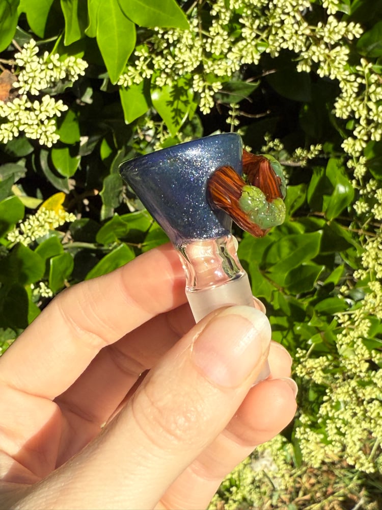 Image of Fantasy Forest 14 mm Slide  #5