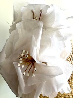Image of Natural straw percher