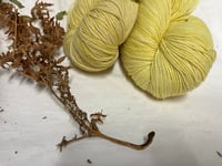 Merino  YELLOW