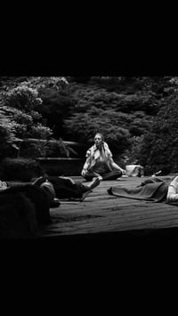 Image 10 of Japanese Garden Mini Sanctuary Session 