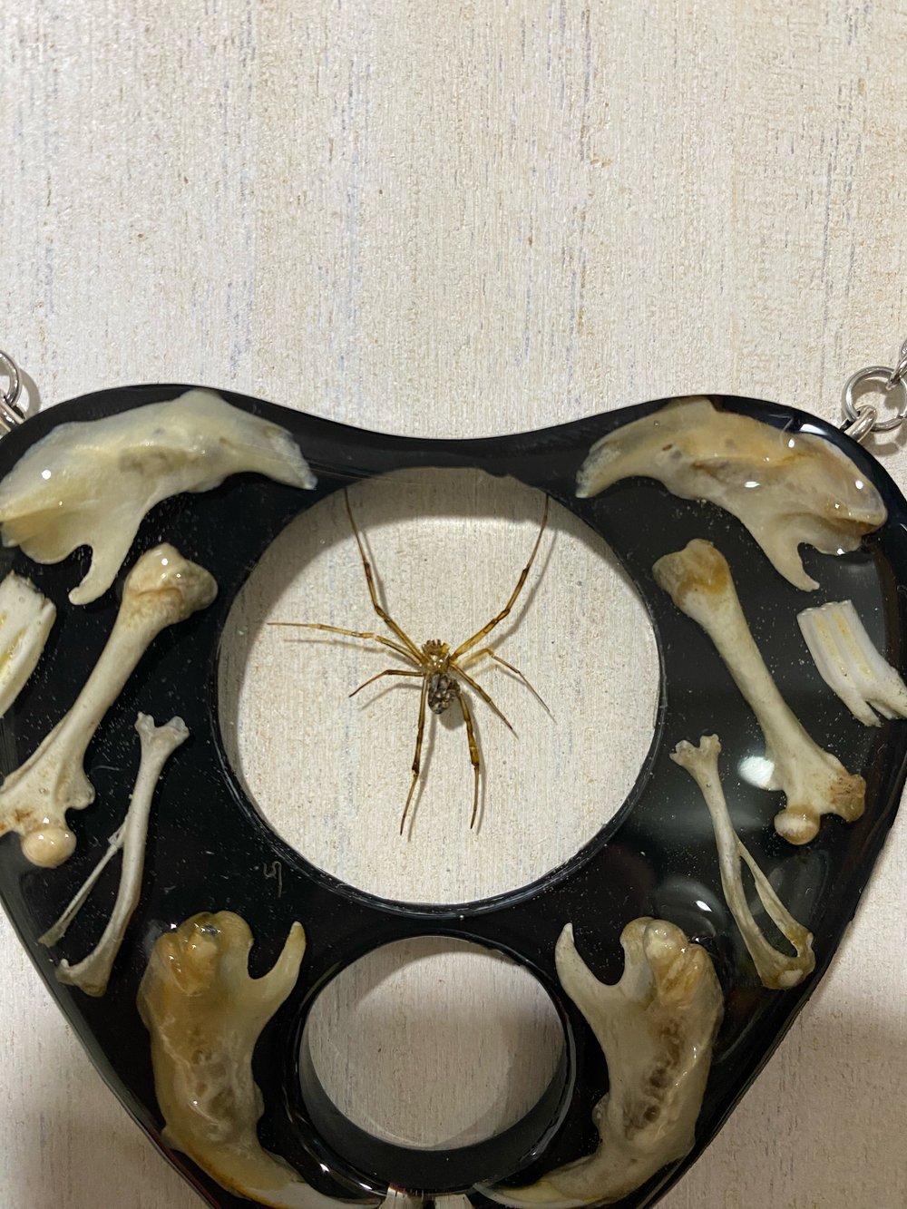 Juvenile black widow and bone oujia planchette pendant 