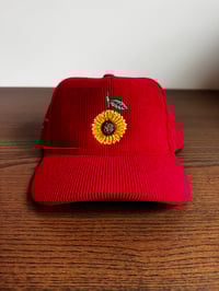 Image 1 of Sunflower Red 