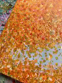 Image 6 of November Tones