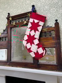Image 9 of Aster Stocking