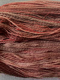 Image 2 of Rose Hips