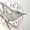 Image of ‘Curious’ Nuthatch Print