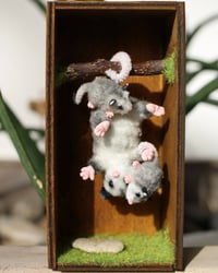 Image 2 of Pipe cleaner possum family with wooden modular display