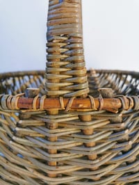 Image 2 of Welsh shopper