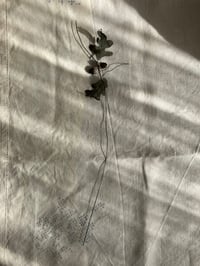 Image 5 of Oak Leaves and Acorns