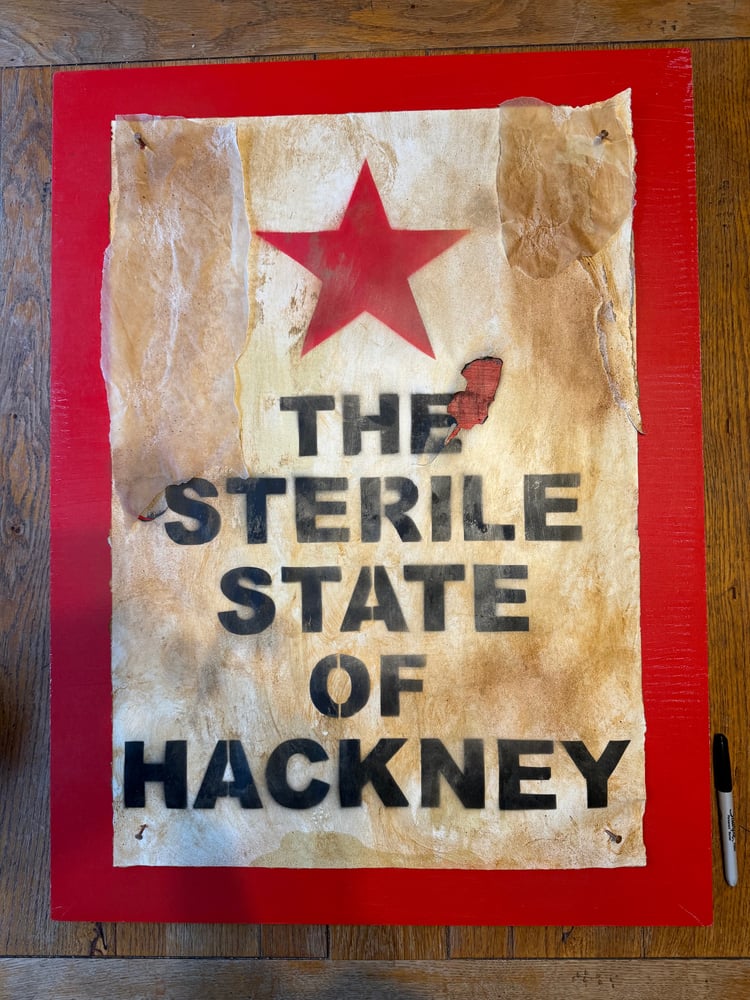 Image of THE STERILE STATE OF HACKNEY