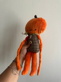 Image 2 of Pumpkin Rag Dolls