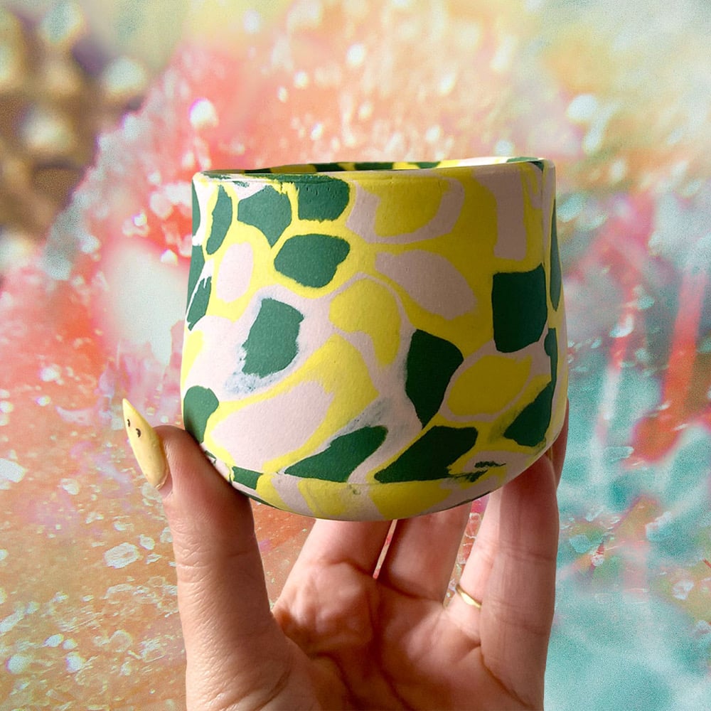 Image of Venus Cup #3