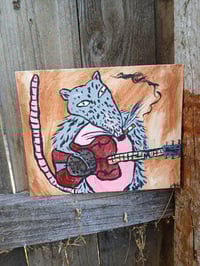 Image 8 of Possum Playing Resonator Guitar 