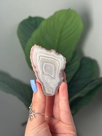 Image 1 of MILKY WHITE MOROCCAN AGATE