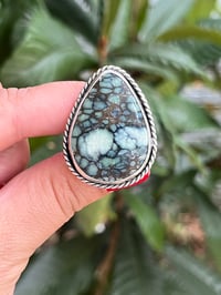 Image 1 of Star Fox Variscite Statement Ring Sz 7